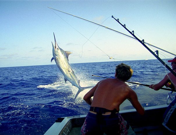 Experience Deep sea fishing 3