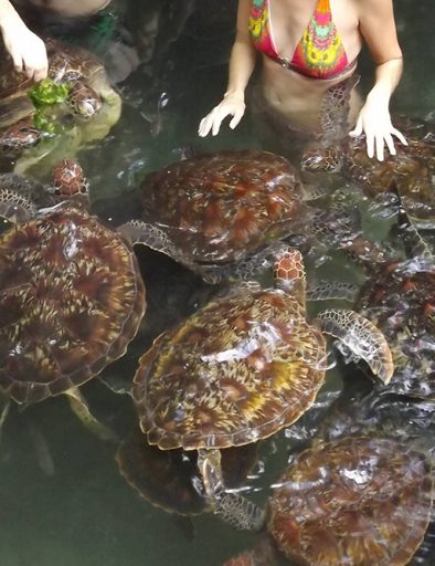 Nungwi Cultural Village Tour 3