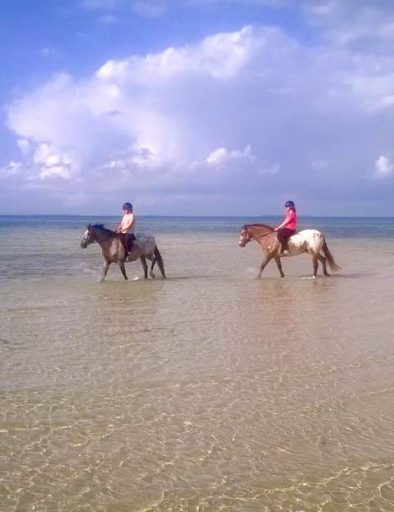 Zanzibar Horseback Riding Adventure