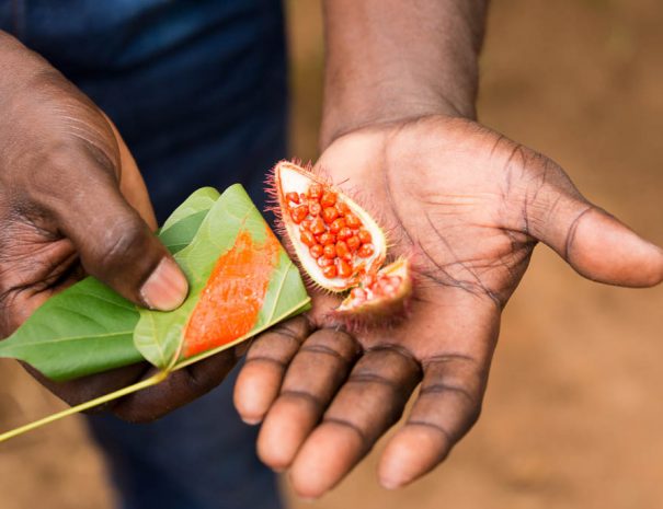 ZANZIBAR SPICE TOUR